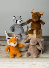 Load image into Gallery viewer, MARY MEYER CHIPAROO