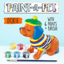 Load image into Gallery viewer, BRIGHT STRIPES PAINT A PET
