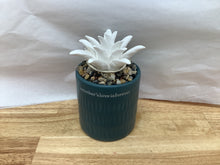 Load image into Gallery viewer, Demdaco Succulent Oil Diffuser
